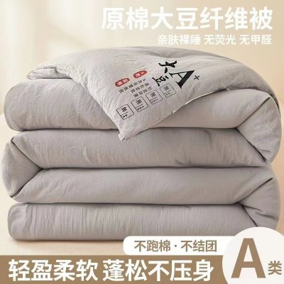 a类母婴级 大豆纤维被子加厚保暖冬被春秋被芯单人学生宿舍棉被芯 1床图2