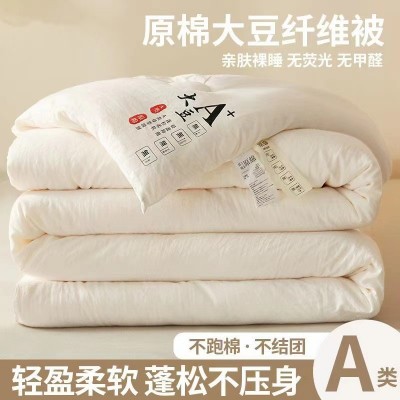a类母婴级 大豆纤维被子加厚保暖冬被春秋被芯单人学生宿舍棉被芯 1床