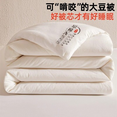 A类 大豆纤维冬被加厚保暖棉被芯单人被子学生宿舍被褥双人春秋被 1床