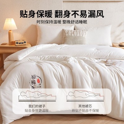 A类 大豆纤维冬被加厚保暖棉被芯单人被子学生宿舍被褥双人春秋被 1床图5