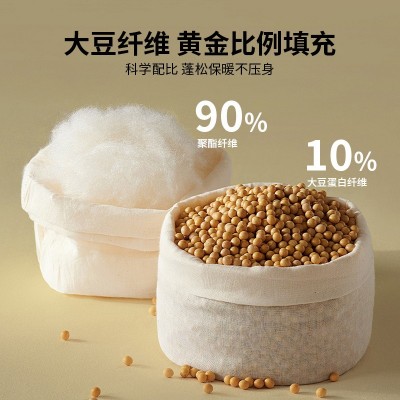 A类 大豆纤维冬被加厚保暖棉被芯单人被子学生宿舍被褥双人春秋被 1床图3