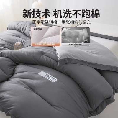 被芯保暖宿舍新款子棉被褥被冬季秋冬被加厚自发热2025石墨烯单人 1套图4