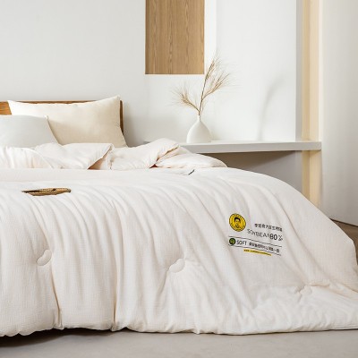 2024A类李官奇大豆被全棉二合一子母被秋冬保暖被子被芯加厚保暖 1床图2