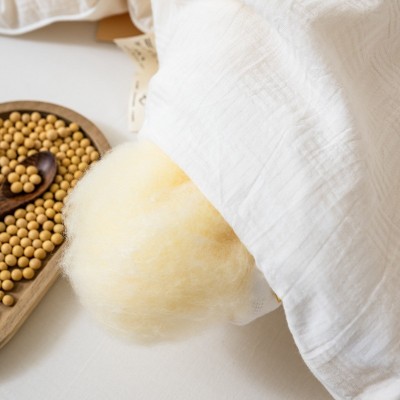 2024A类李官奇大豆被全棉二合一子母被秋冬保暖被子被芯加厚保暖 1床图4