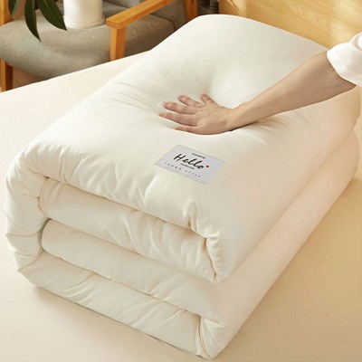 大豆纤维被子冬被棉被芯学生宿舍加厚春秋被褥空调被单人四季通用 1件