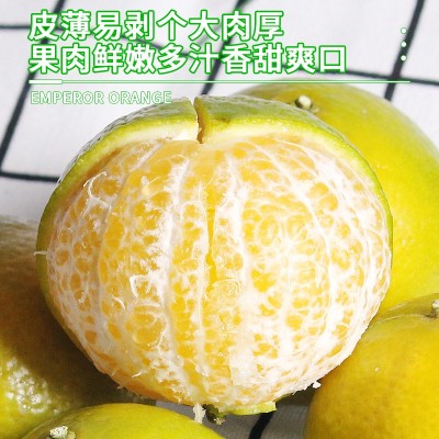正宗广西皇帝柑新鲜橘子水果当季摘蜜桔子贡柑纯甜橘老树大果包邮
