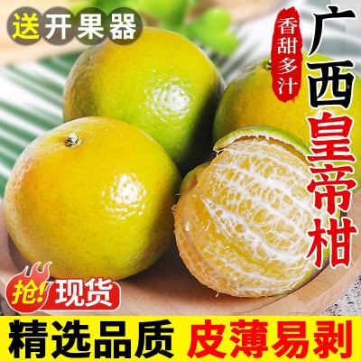 正宗广西皇帝柑新鲜橘子水果当季摘蜜桔子贡柑纯甜橘老树大果包邮图5