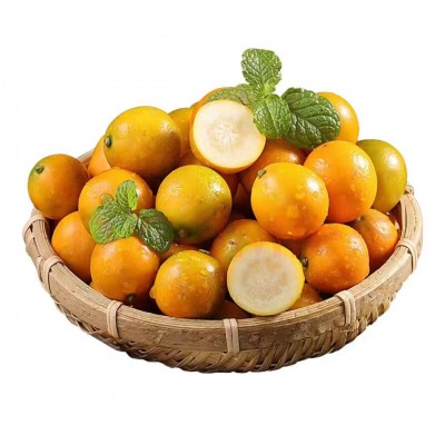 广西融安第三代脆蜜滑皮脆皮金桔清脆爽口纯甜无酸小糖泡新鲜产地图5