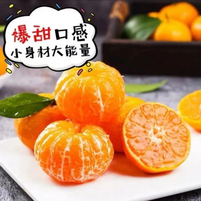代发正宗广西砂糖橘新鲜水果当季蜜桔金秋沙糖桔橘子贡柑整箱包邮图2
