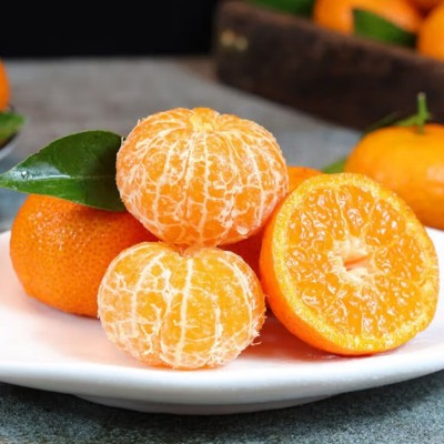 代发正宗广西砂糖橘新鲜水果当季蜜桔金秋沙糖桔橘子贡柑整箱包邮图5