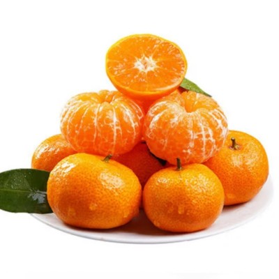 代发正宗广西砂糖橘新鲜水果当季蜜桔金秋沙糖桔橘子贡柑整箱包邮图4