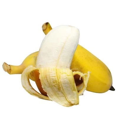 小米蕉当季热带香蕉新鲜现摘孕妇水果福建土楼苹果蕉粉蕉一件代发