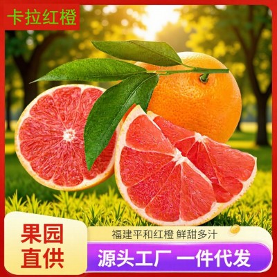 卡拉红橙新鲜现摘福建平和当季热带水果中华红橙鲜甜多汁橙子代发图3