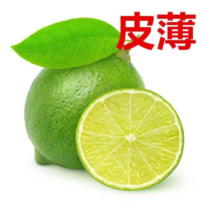 柠檬四季新鲜水果泰国引种塔西提无籽青柠檬奶茶店直供批发包邮