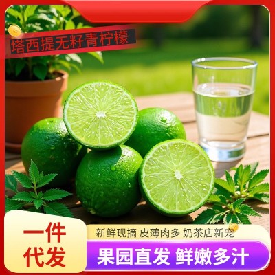 柠檬四季新鲜水果泰国引种塔西提无籽青柠檬奶茶店直供批发包邮图3