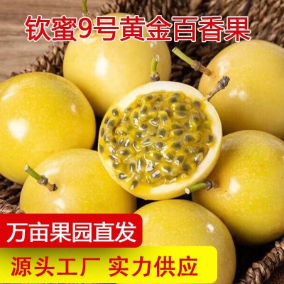 黄金百香果钦蜜9号新鲜水果代发热带水果百香果源头工厂现货批发