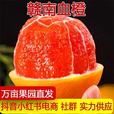 江西赣南血橙脐橙新鲜水果当季孕妇水果甜橙中华红心橙子一件代发