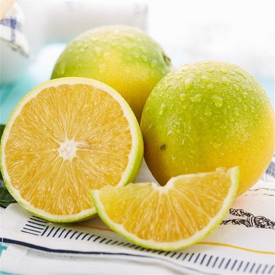 云南哀牢山冰糖橙新鲜橙子9斤当季水果蜜桔玉溪手剥橙果冻橙批发图2