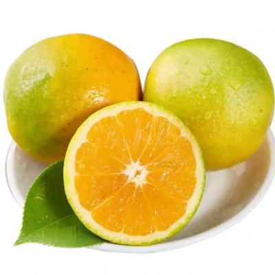 云南哀牢山冰糖橙新鲜橙子9斤当季水果蜜桔玉溪手剥橙果冻橙批发图4