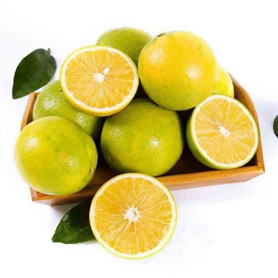 云南哀牢山冰糖橙新鲜橙子9斤当季水果蜜桔玉溪手剥橙果冻橙批发图5