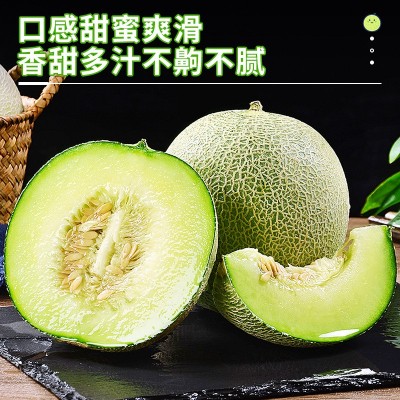 冰淇淋网纹蜜瓜10斤甜瓜新鲜水果当季整箱包邮哈密瓜玫珑海南蜜瓜图5