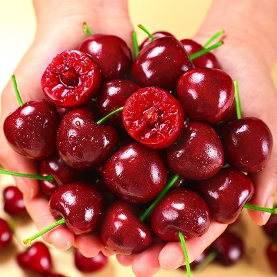 美早大樱桃国产车厘子5斤新鲜水果当季大连3J整箱珍珠孕妇包邮黑图5