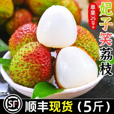 海南妃子笑冰冻荔枝5斤水果当季整箱包邮王白糖现摘桂婴荔枝肉3味