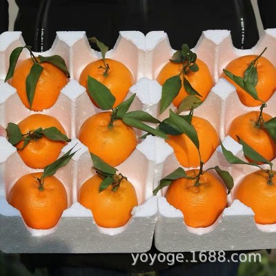 四川耙耙柑眉山春见耙耙柑应季新鲜水果非丑橘蒲江粑粑柑丑八怪图4