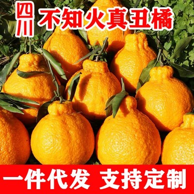 四川眉山不知火丑橘丑八怪丑柑新鲜水果现摘批发一件代发真丑橘