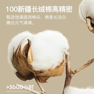 100长绒棉印花磨毛四件套全棉纯棉春秋加厚床单被套床笠床上用品4 1件