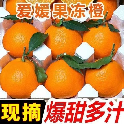 【寒冷地区保温箱+保温袋发货】爱媛果冻橙38号新鲜水果橙子整箱图3