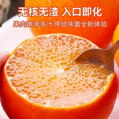 【寒冷地区保温箱+保温袋发货】爱媛果冻橙38号新鲜水果橙子整箱图4