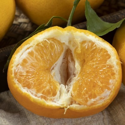 【蟹蟹】四川春见耙耙柑粑粑柑杷杷柑正宗水果新鲜整箱当季丑橘包图2