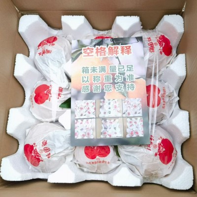 【蟹蟹】四川春见耙耙柑粑粑柑杷杷柑正宗水果新鲜整箱当季丑橘包图5