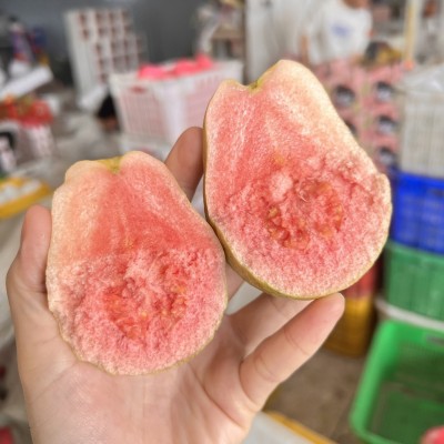 【蟹蟹】软心奶油芭乐红白双拼当季软糯红心芭乐5斤新鲜水果图4