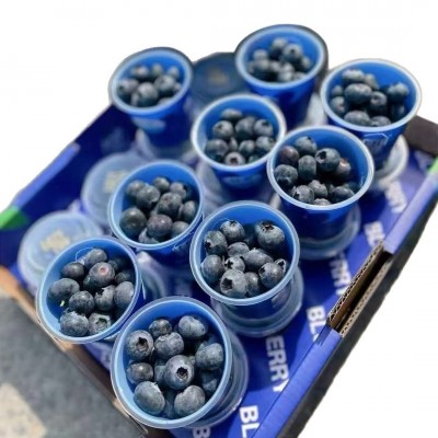 【蟹蟹】蓝莓鲜果云南花香蓝莓新鲜水果6盒特大果高山颗酸甜整箱图5