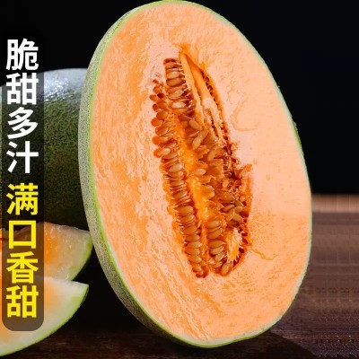 海南哈密瓜 3/5/9斤新鲜佛罗水果蜜瓜25号甜瓜西州蜜一件代发整箱图4
