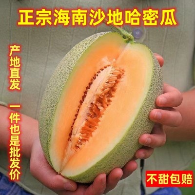 海南哈密瓜 3/5/9斤新鲜佛罗水果蜜瓜25号甜瓜西州蜜一件代发整箱图2