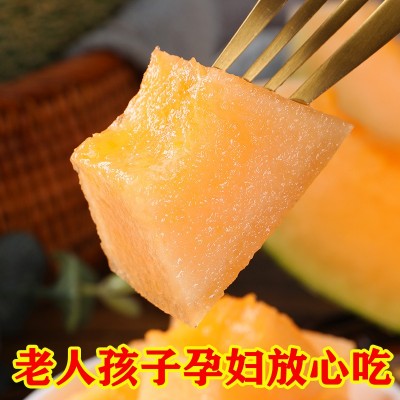 海南哈密瓜 3/5/9斤新鲜佛罗水果蜜瓜25号甜瓜西州蜜一件代发整箱图5