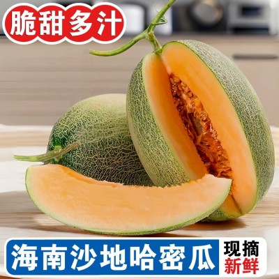 海南哈密瓜 3/5/9斤新鲜佛罗水果蜜瓜25号甜瓜西州蜜一件代发整箱图3
