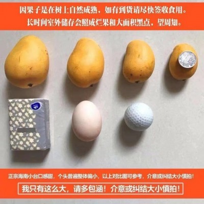 海南小台芒10斤新鲜小台芒当季特产水果现摘一件代发产地直发香甜图4