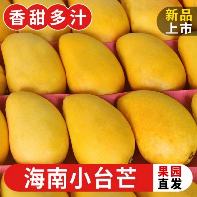 海南小台芒10斤新鲜小台芒当季特产水果现摘一件代发产地直发香甜图2