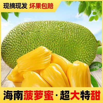 海南新鲜黄肉菠萝蜜水果当季水果25斤黄肉干苞靓果一件代发仓库供图3