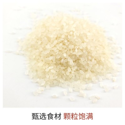 东北珍珠米500克圆粒米粳米真空包装批发零售厂家新货源头工厂