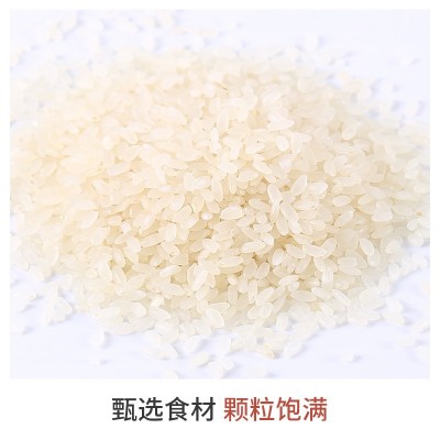 东北大米批发500g新米1斤长粒香粳米贴牌OEM代发源头大米长粒米