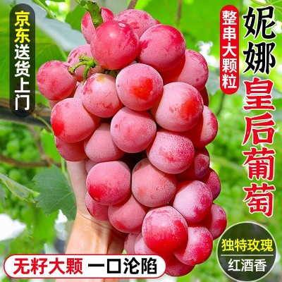 现摘现发妮娜皇后妮娜公主葡萄孕妇当季新鲜水果葡萄新鲜包邮 1斤图2