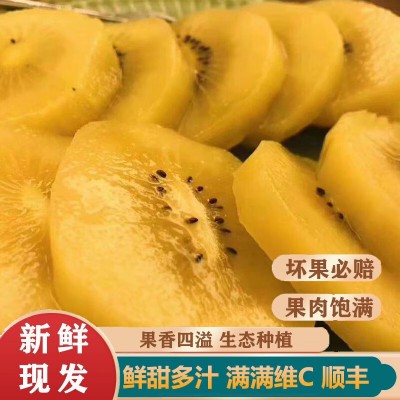 新西兰佳沛奇异果金果新鲜水果当季进口黄心猕猴桃整箱顺丰包邮 1斤图4