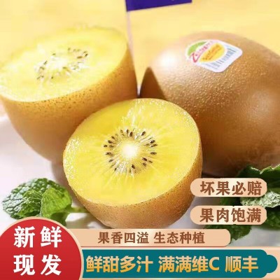 新西兰佳沛奇异果金果新鲜水果当季进口黄心猕猴桃整箱顺丰包邮 1斤图5