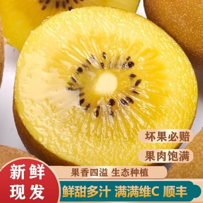 新西兰佳沛奇异果金果新鲜水果当季进口黄心猕猴桃整箱顺丰包邮 1斤图3
