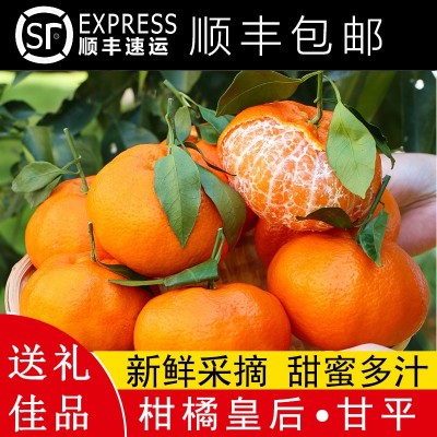 正宗四川眉山甘平小金牛柑橘桔子新鲜水果整箱9斤大果顺丰包邮 1斤